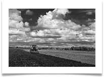 untitled-2 - Denis McAllister